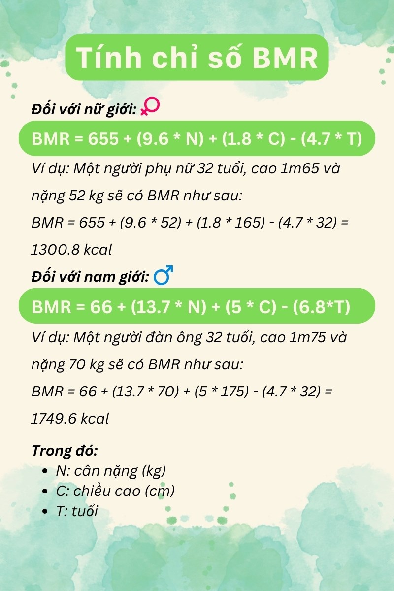 BMR l&agrave; chỉ số calo cần cho c&aacute;c hoạt động cơ bản của cơ thể