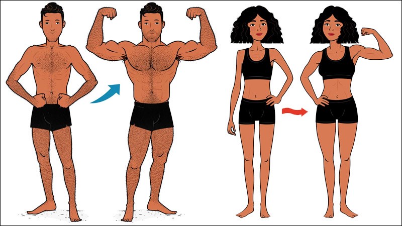 Lượng calo cần thiết để tăng c&acirc;n giữa nam v&agrave; nữ kh&aacute;c nhau