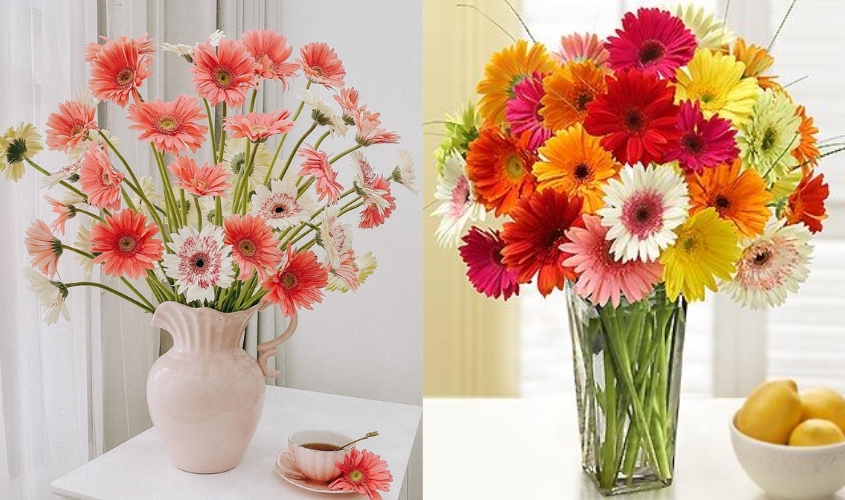 Mẫu cắm hoa đồng tiền cho bàn thờ