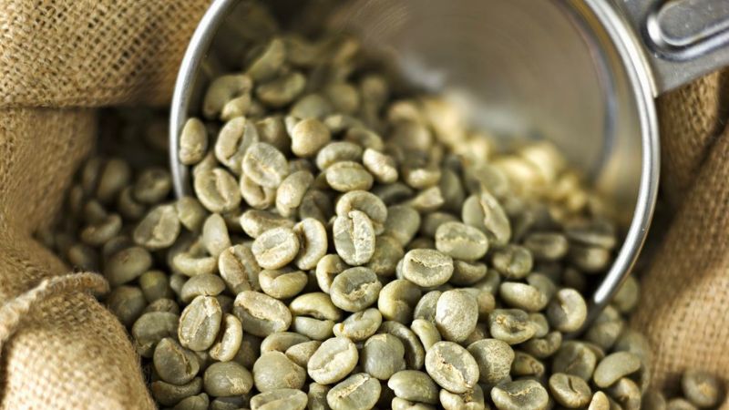 Hạt cà phê tươi có nhiều công dụng tuyệt vời đối với sức khoẻ Hạt cà phê tươi có nhiều công dụng tuyệt vời đối với sức khoẻ