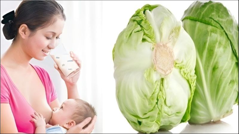 Bắp cải mang lại nhiều lợi ích cho sức khỏe phụ nữ sau sinh