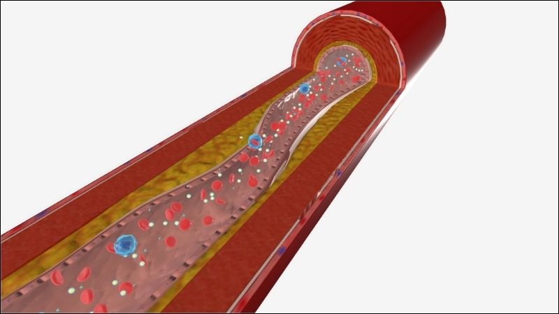 Sử dụng hạt tiêu đen thường xuyên có thể giúp giảm mức cholesterol hiệu quả