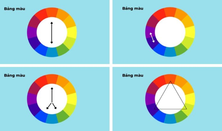 Cách phối màu khi cắm hoa