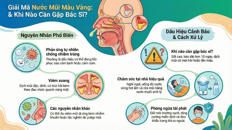 Bạch cầu chết v&agrave; đ&agrave;o thải ra nước mũi m&agrave;u v&agrave;ng