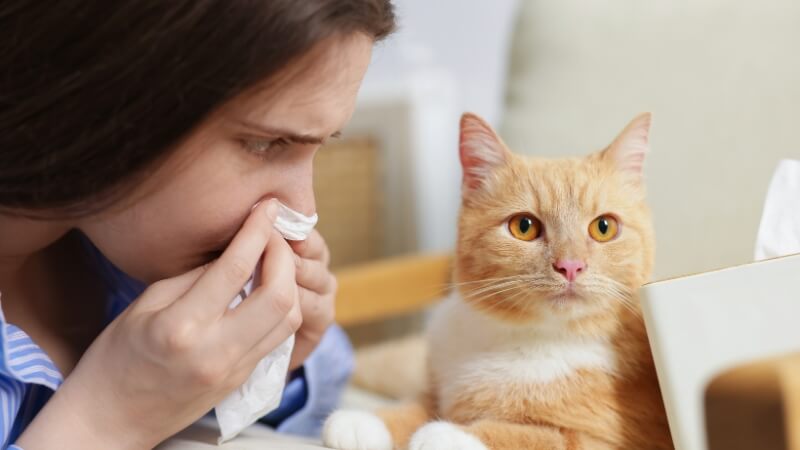 Nước mũi màu xanh có thể xuất hiện do việc tiếp xúc với lông thú kéo dài Nước mũi màu xanh có thể xuất hiện do việc tiếp xúc với lông thú kéo dài