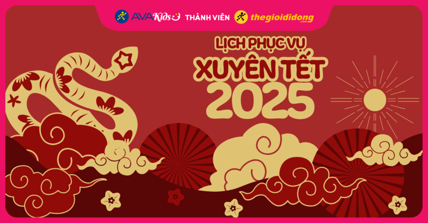 lịch phục vụ xuyên tết 2025