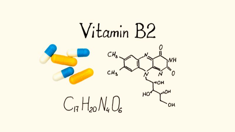Nước tiểu m&agrave;u v&agrave;ng đậm c&oacute; thể li&ecirc;n quan đến việc sử dụng vitamin B2