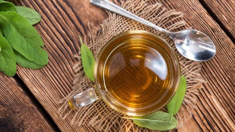 Cây xô thơm có thể dùng để pha trà