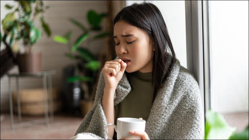 Ăn lá cây xương khỉ tươi giúp chữa ho