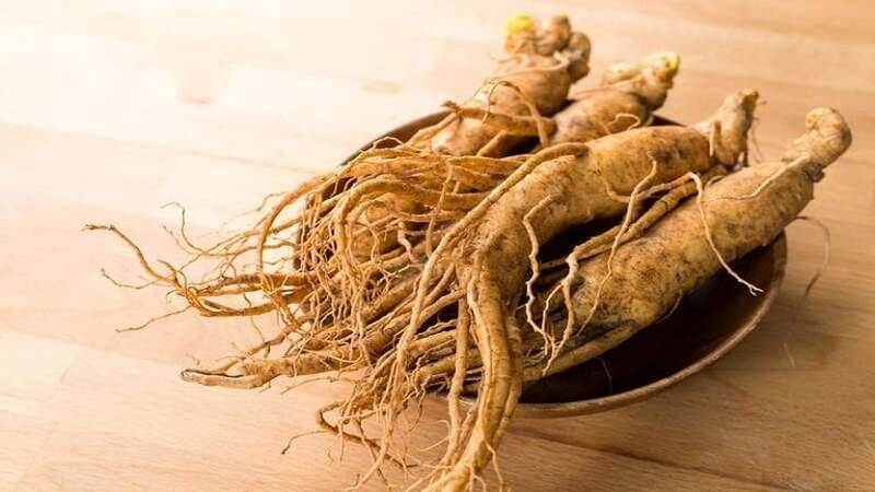 Nhân sâm là một loại thảo dược quý, được chiết xuất từ rễ của cây nhân sâm