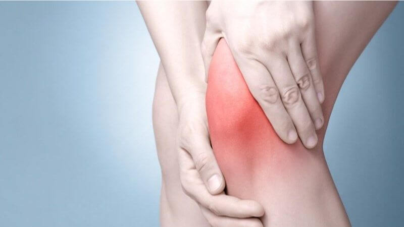 Nhân sâm có đặc tính chống oxy hóa và chống viêm