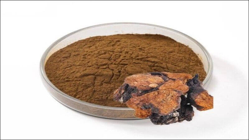 Nấm chaga chủ yếu được bán dưới dạng bột, với liều lượng từ 500 – 1500 mg