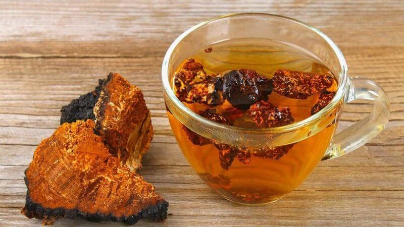Có thể sử dụng nấm chaga dưới dạng trà