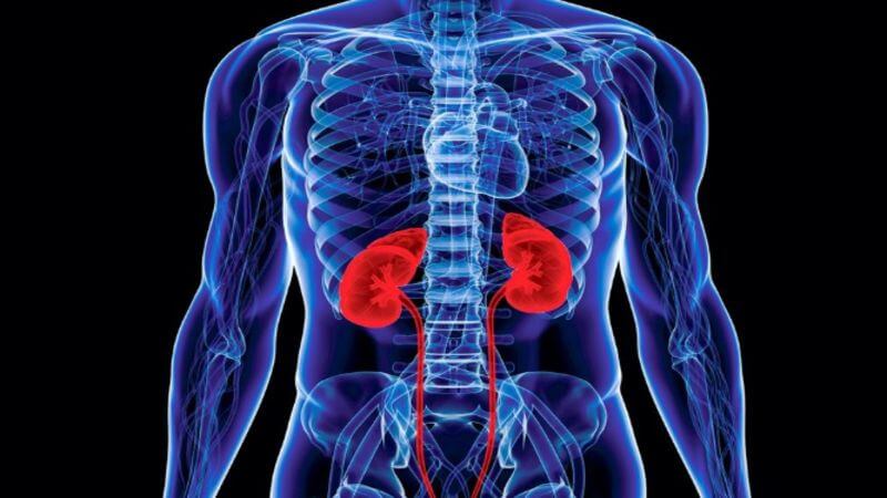 Sử dụng nấm Chaga lâu dài có thể ảnh hưởng đến chức năng thận và làm trầm trọng thêm các vấn đề sức khỏe hiện tại