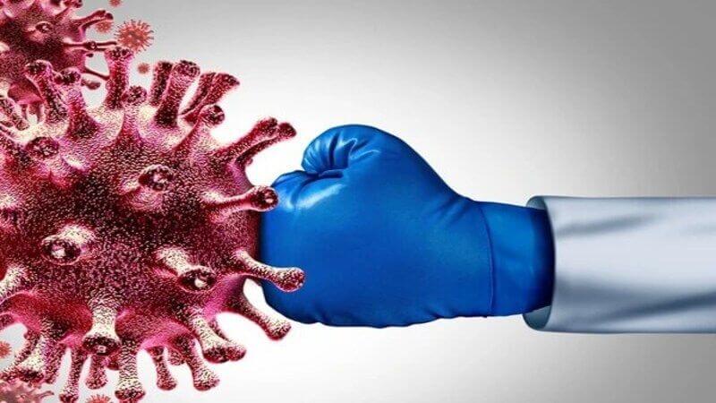 Nấm Chaga có khả năng thúc đẩy sản sinh các cytokine có lợi, giúp cơ thể chống lại các loại nhiễm trùng