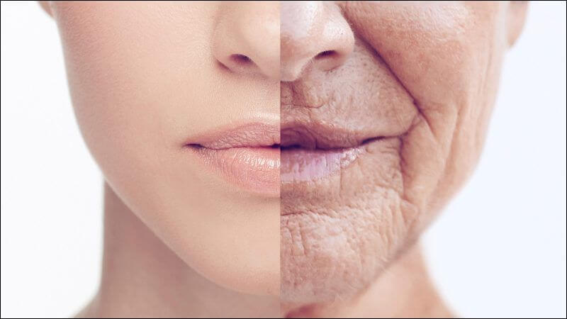 Nấm chaga có khả năng giảm nếp nhăn do tác động của tia UV, giúp làn da của bạn trở nên tươi trẻ và rạng rỡ hơn