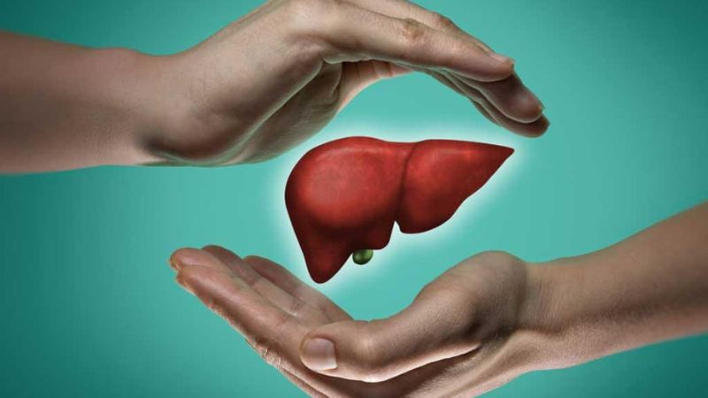 Rau lang có chứa anthocyanin giúp bảo vệ gan