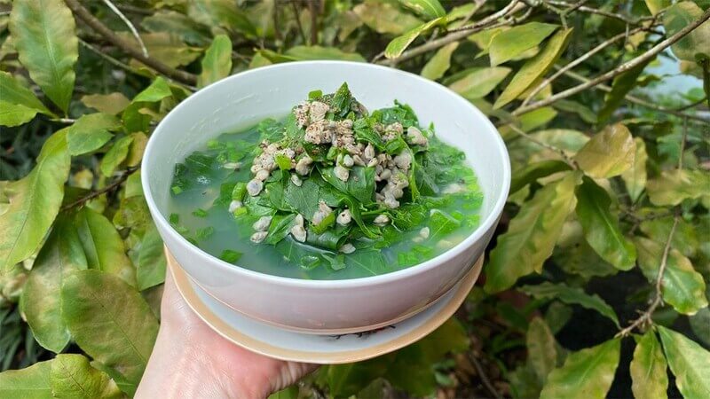 Ăn rau ngót với lượng vừa phải để tránh tác dụng phụ