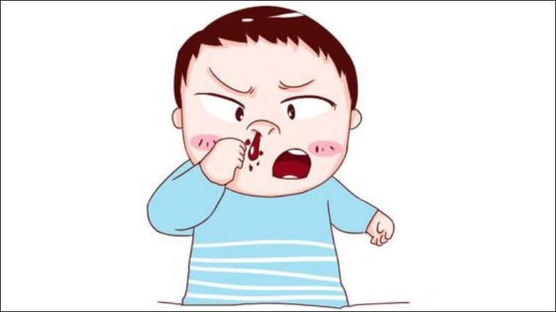 Uống nước lá rau ngót là bài thuốc dân gian điều trị chảy máu cam hiệu quả