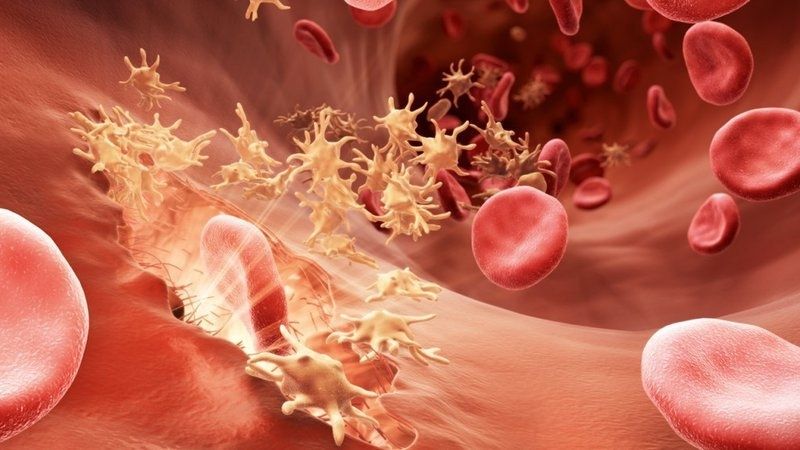 Thiếu hụt vitamin K dẫn đến sự rối loạn hoạt động của các yếu tố đông máu