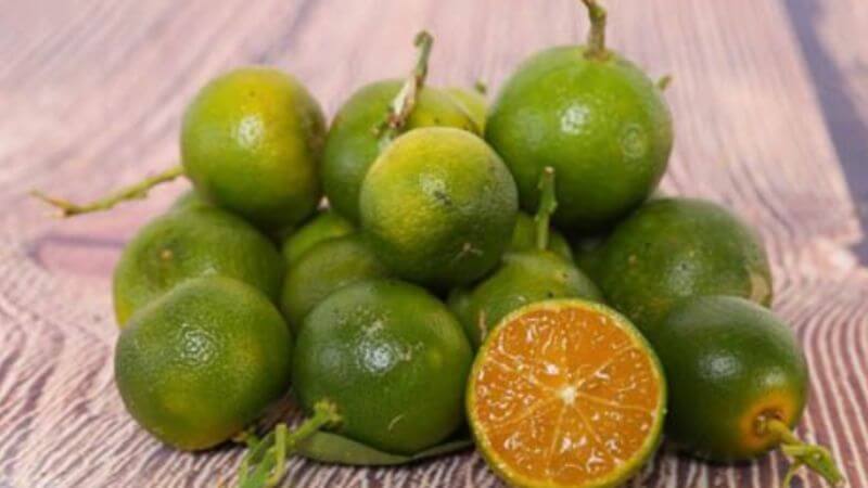 Quất có tên khoa học là Fortunella japonica (Thunb.) Swingle, là loại cây phổ biến ở Việt Nam