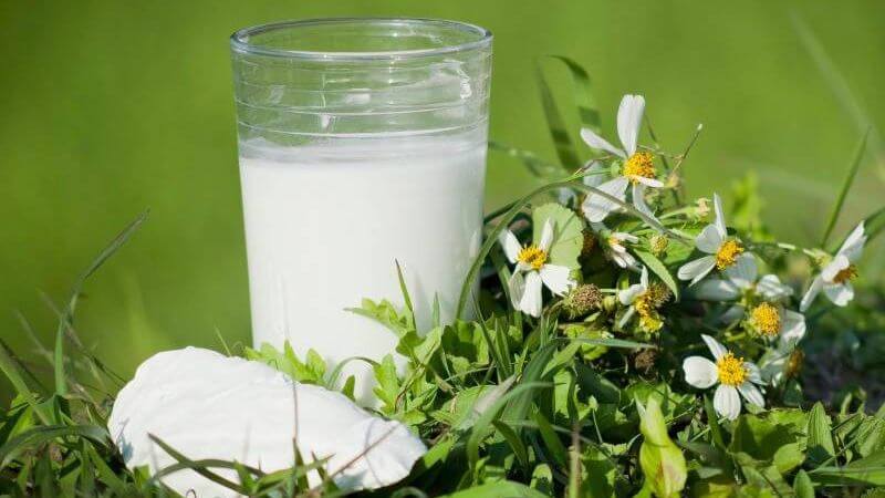 Bạn hoàn toàn có thể kết hợp bột sắn dây với sữa đặc để tạo ra một thức uống ngọt ngào, thơm ngon
