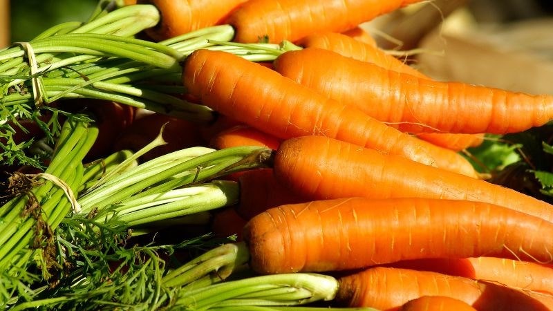 C&agrave; rốt chứa nhiều sắt, gi&uacute;p b&ugrave; đắp lượng m&aacute;u đ&atilde; mất do kinh nguyệt rối loạn g&acirc;y ra