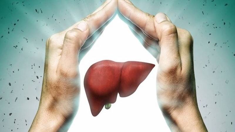 Dưa hấu có tác dụng thanh nhiệt, giải độc gan