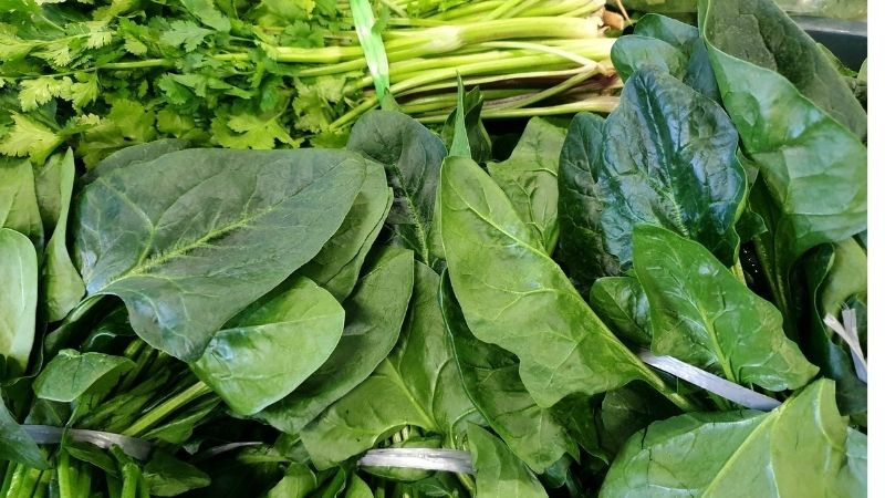Các loại rau xanh là lựa chọn tốt dành cho người thiếu máu não Các loại rau xanh là lựa chọn tốt dành cho người thiếu máu não