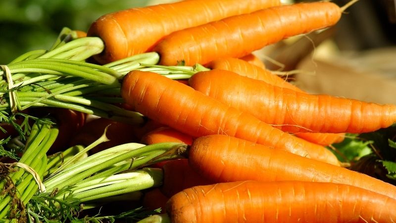 Cà rốt là một lựa chọn tốt giúp cải thiện bệnh cho người bệnh thiếu máu não Cà rốt là một lựa chọn tốt giúp cải thiện bệnh cho người bệnh thiếu máu não