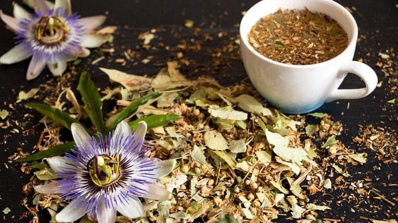 Trà hoa lạc tiên có tác dụng an thần tốt, tạo điều kiện cho giấc ngủ sâu
