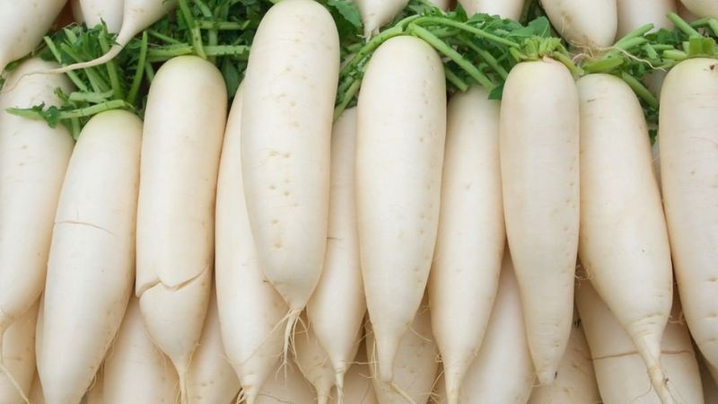 Củ cải chứa nhiều carbohydrate nên không tốt cho người bệnh tiểu đường