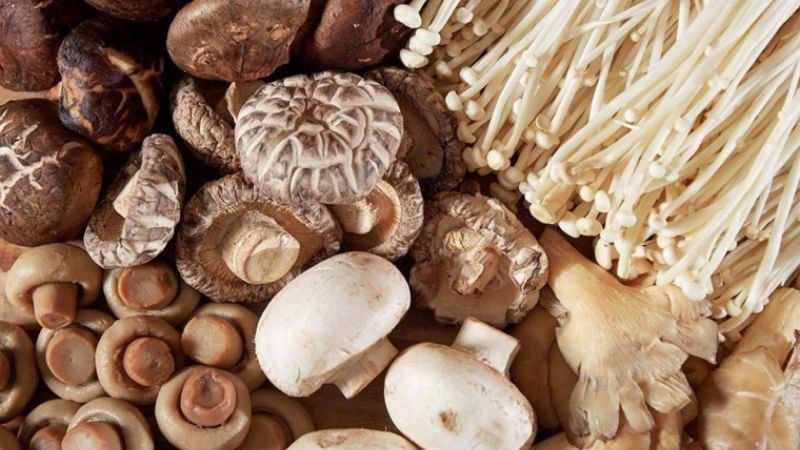 Ăn nấm có thể giúp cải thiện tình trạng thiếu hụt vitamin B