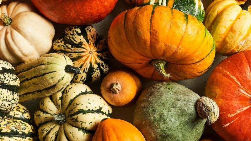 Bí ngô chứa nhiều carbohydrate nhưng lại ít chất xơ 