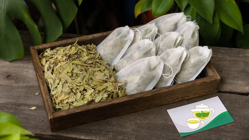 Phụ nữ mang thai hoặc đang cho con bú không nên dùng phan tả diệp