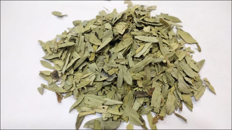Phan tả diệp là một vị thuốc có tác dụng thông đại tiện
