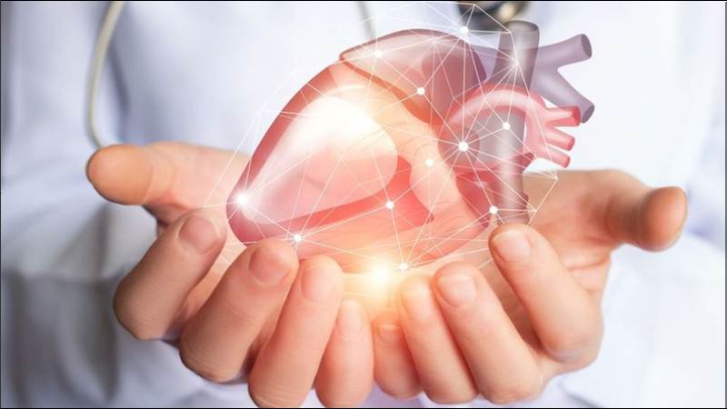 Trứng là nguồn thực phẩm chứa axit béo omega-3 tốt cho tim mạch