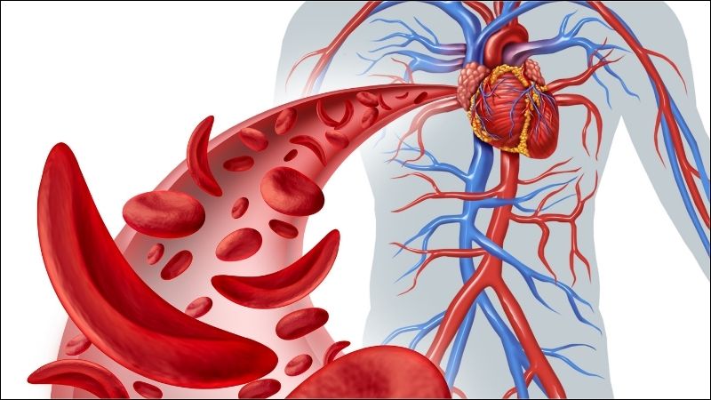 Tinh dầu gừng được biết đến với khả năng thúc đẩy lưu thông máu hiệu quả