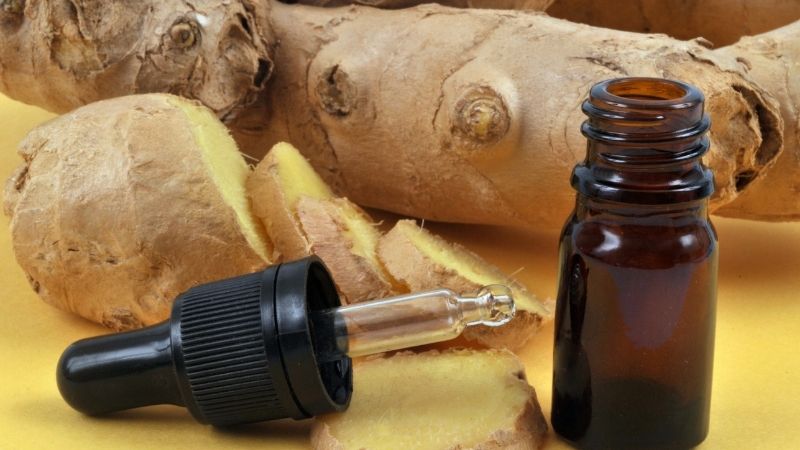 Tinh dầu gừng chứa hàm lượng cao các chất chống oxy hóa