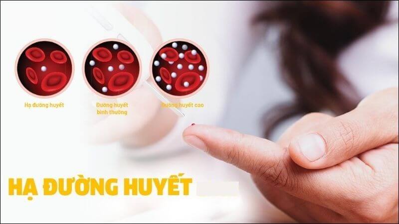 Tinh dầu và chiết xuất từ hạt ngò rí có thể giúp giảm đường huyết