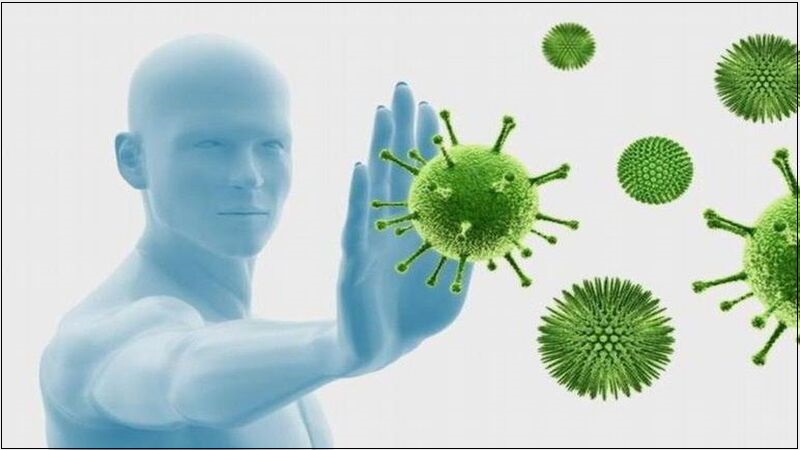 Vitamin B12 có trong mực giúp cơ thể tăng cường chức năng miễn dịch Vitamin B12 có trong mực giúp cơ thể tăng cường chức năng miễn dịch