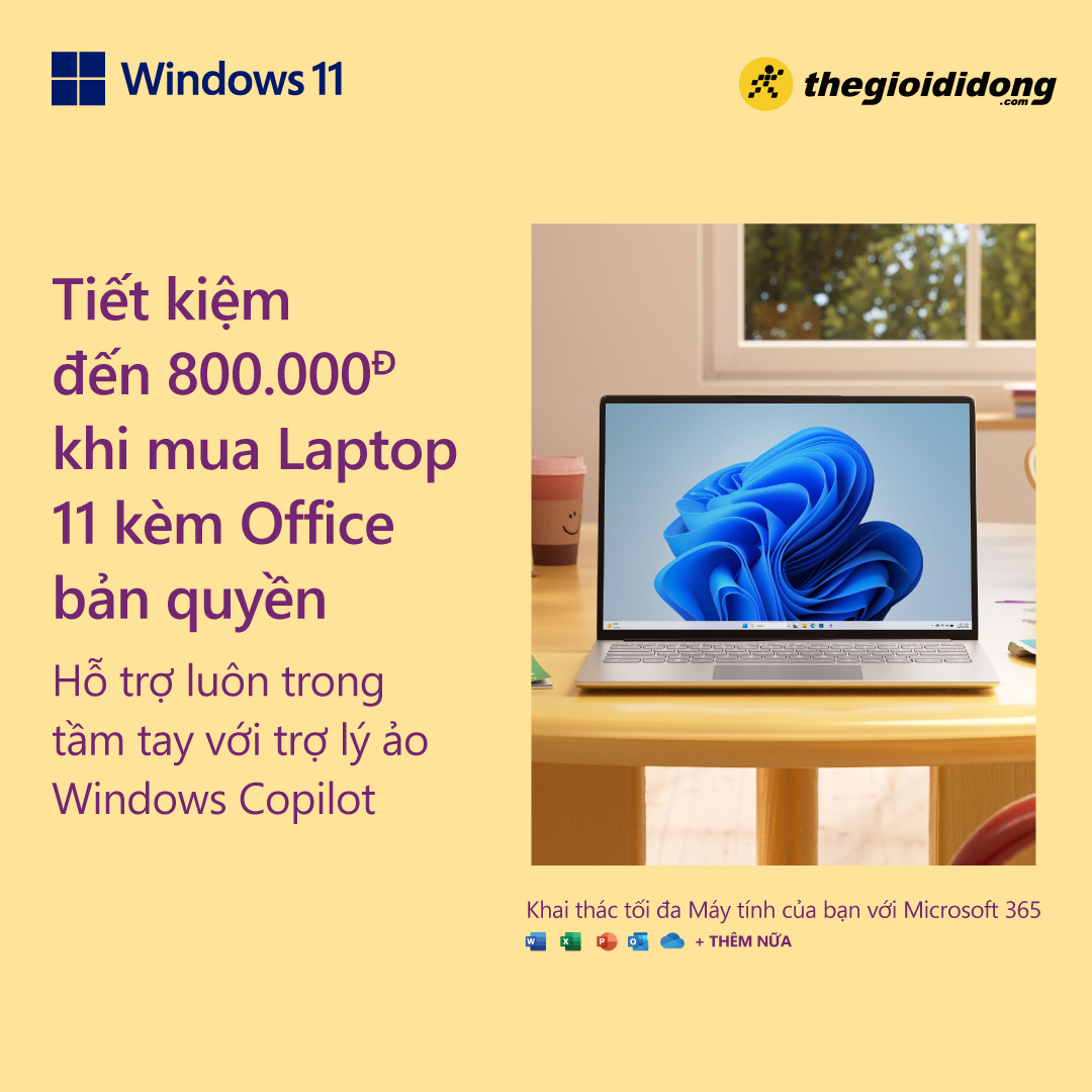 Windows 11