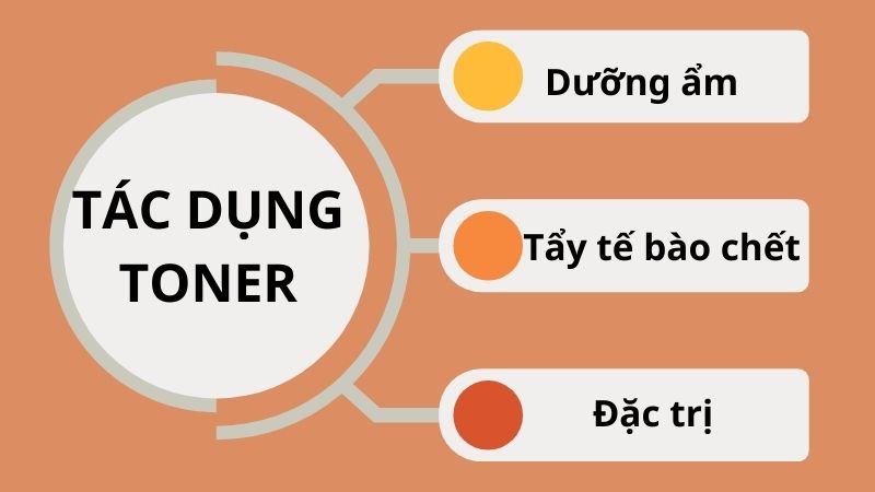 Theo công dụng, toner được chia thành 3 loại Theo công dụng, toner được chia thành 3 loại