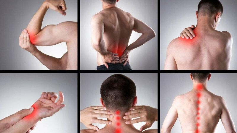 Cẩu tích thường được sắc cùng nhiều vị thảo dược khác để chữa xương khớp  