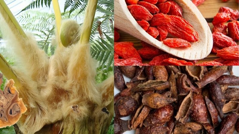 Thịt chó hầm cẩu tích, câu kỷ tử, kim anh tử trị di niệu và di tinh
