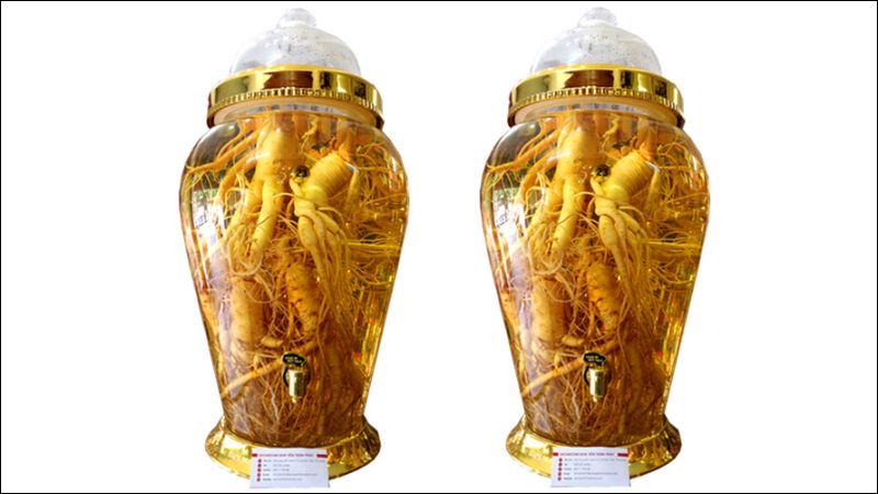 Uống 1 chén nhỏ rượu nhân sâm mỗi ngày giúp tăng cường sinh lực