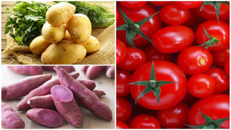 Không nên kết hợp khoai tây với khoai lang và cà chua vì có thể gây đầy hơi và tiêu chảy