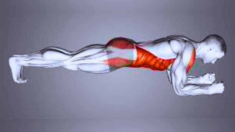 Tư thế plank y&ecirc;u cầu c&aacute;c cơ siết chặt để giữ thăng bằng