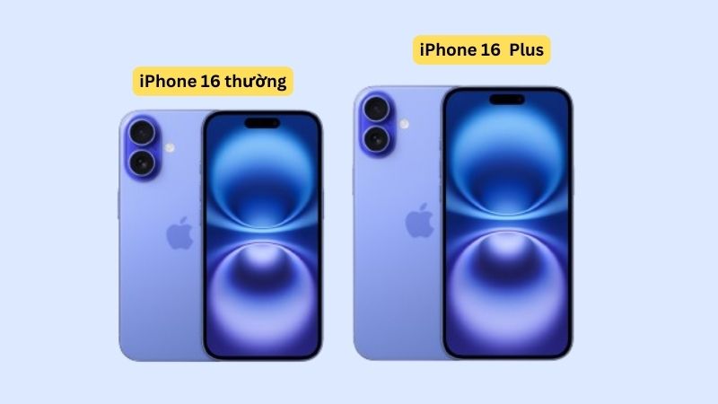 Phiên bản 16 Plus có kích thước màn hình lớn hơn iPhone 16 thường Phiên bản 16 Plus có kích thước màn hình lớn hơn iPhone 16 thường