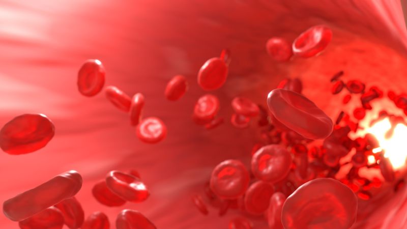 Tinh dầu xuyên khung làm giãn mạch máu ngoại vi và hạ huyết áp khi dùng liều lớn